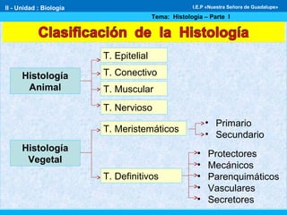 T. Epitelial
T. Conectivo
T. Muscular
T. Nervioso
T. Meristemáticos
T. Definitivos
• Primario
• Secundario
• Protectores
• Mecánicos
• Parenquimáticos
• Vasculares
• Secretores
Histología
Animal
Histología
Vegetal
II - Unidad : Biología
Tema: Histología – Parte I
I.E.P «Nuestra Señora de Guadalupe»
 