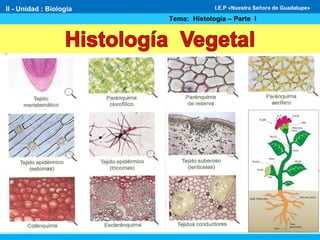 II - Unidad : Biología
Tema: Histología – Parte I
I.E.P «Nuestra Señora de Guadalupe»
 