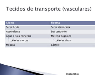 Xilema Floema
Seiva bruta Seiva elaborada
Ascendente Descendente
Água e sais minerais Matéria orgânica
células mortas células vivas
Medula Córtex
Procâmbio
 