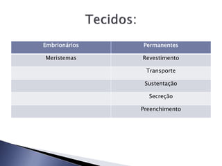Embrionários Permanentes
Meristemas Revestimento
Transporte
Sustentação
Secreção
Preenchimento
 