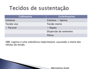 Colênquima Esclerênquima
Celulose Celulose + lignina
Tecido vivo Tecido morto
+ Flexível + Rígido
Dispersão de sementes
Fibras
OBS: Lignina é uma substância impermeável, causando a morte das
células do tecido.
Meristema fund.
 
