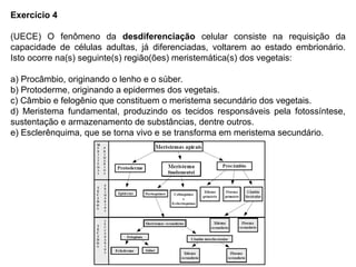Exercício 4
(UECE) O fenômeno da desdiferenciação celular consiste na requisição da
capacidade de células adultas, já diferenciadas, voltarem ao estado embrionário.
Isto ocorre na(s) seguinte(s) região(ões) meristemática(s) dos vegetais:
a) Procâmbio, originando o lenho e o súber.
b) Protoderme, originando a epidermes dos vegetais.
c) Câmbio e felogênio que constituem o meristema secundário dos vegetais.
d) Meristema fundamental, produzindo os tecidos responsáveis pela fotossíntese,
sustentação e armazenamento de substâncias, dentre outros.
e) Esclerênquima, que se torna vivo e se transforma em meristema secundário.
 