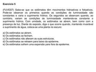 Exercício 5
(FUVEST) Sabe-se que os estômatos têm movimentos hidroativos e fotoativos.
Pode-se observar os primeiros quando as condições de luminosidade são
constantes e varia o suprimento hídrico. Os segundos se observam quando, ao
contrário, variam as condições de luminosidade mantendo-se constante o
suprimento hídrico. Com umidade, os estômatos se abrem, bem como com a
presença de luz. Diante do exposto, diga o que ocorre quando, mantendo invariável
o suprimento de água, coloca-se uma planta no escuro:
a) Os estômatos se abrem.
b) Os estômatos se fecham.
c) Os estômatos não alteram as suas estruturas.
d) Os estômatos se retraem para baixo da epiderme.
e) Os estômatos sofrem uma expansão para fora da epiderme.
 