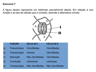 Exercício 7
A figura abaixo representa um estômato parcialmente aberto. Em relação à sua
função e ao tipo de células que o compõe, assinale a alternativa correta:
FUNÇÃO CÉLULAS I CÉLULAS II
a) Fotossíntese Clorofiladas Clorofiladas
b) Transpiração Anexas Clorofiladas
c) Absorção Não clorofiladas Clorofiladas
d) Condução Liberianas Lenhosas
e) Transpiração Não clorofiladas Não clorofiladas
 
