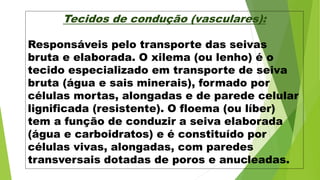 Tecidos de condução (vasculares):
Responsáveis pelo transporte das seivas
bruta e elaborada. O xilema (ou lenho) é o
tecido especializado em transporte de seiva
bruta (água e sais minerais), formado por
células mortas, alongadas e de parede celular
lignificada (resistente). O floema (ou líber)
tem a função de conduzir a seiva elaborada
(água e carboidratos) e é constituído por
células vivas, alongadas, com paredes
transversais dotadas de poros e anucleadas.
 