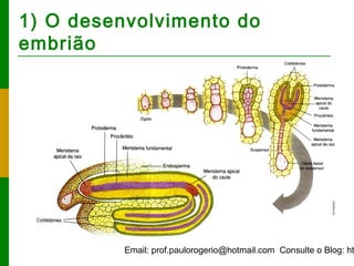 Email: prof.paulorogerio@hotmail.com Consulte o Blog: ht
1) O desenvolvimento do
embrião
 
