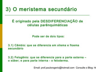 Email: prof.paulorogerio@hotmail.com Consulte o Blog: ht
3) O meristema secundário
É originado pela DESDIFERENCIAÇÃO de
células parênquimáticas
Pode ser de dois tipos:
3.1) Câmbio: que se diferencia em xilema e floema
secundário
3.2) Felogênio: que se diferencia para a parte externa –
o súber; e para parte interna - o feloderma.
 
