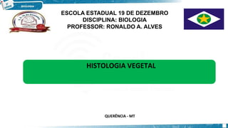 HISTOLOGIA VEGETAL
ESCOLA ESTADUAL 19 DE DEZEMBRO
DISCIPLINA: BIOLOGIA
PROFESSOR: RONALDO A. ALVES
QUERÊNCIA - MT
 