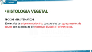 TECIDOS MERISTEMÁTICOS
São tecidos de origem embrionária, constituídos por agrupamentos de
células com capacidade de sucessivas divisões e diferenciação.
1
 