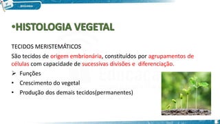 TECIDOS MERISTEMÁTICOS
São tecidos de origem embrionária, constituídos por agrupamentos de
células com capacidade de sucessivas divisões e diferenciação.
 Funções
• Crescimento do vegetal
• Produção dos demais tecidos(permanentes)
1
 