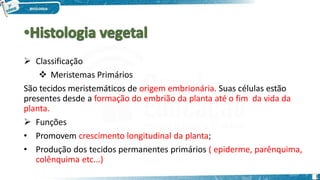  Classificação
 Meristemas Primários
São tecidos meristemáticos de origem embrionária. Suas células estão
presentes desde a formação do embrião da planta até o fim da vida da
planta.
 Funções
• Promovem crescimento longitudinal da planta;
• Produção dos tecidos permanentes primários ( epiderme, parênquima,
colênquima etc...)
1
 