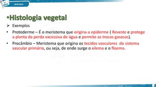  Exemplos
• Protoderme – É o meristema que origina a epiderme ( Reveste e protege
a planta da perda excessiva de água e permite as trocas gasosas).
• Procâmbio – Meristema que origina os tecidos vasculares do sistema
vascular primário, ou seja, de onde surge o xilema e o floema.
1
 