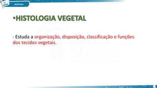 - Estuda a organização, disposição, classificação e funções
dos tecidos vegetais.
2
 