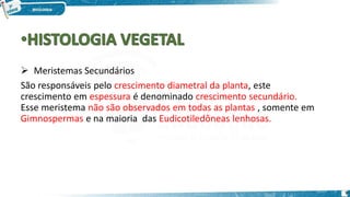  Meristemas Secundários
São responsáveis pelo crescimento diametral da planta, este
crescimento em espessura é denominado crescimento secundário.
Esse meristema não são observados em todas as plantas , somente em
Gimnospermas e na maioria das Eudicotiledôneas lenhosas.
9
 