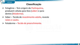  Felogênio – Tem origem do Parênquima,
produzem células para fora (súber) e para
dentro (feloderme).
 Súber – Tecido de revestimento adulto, reveste
raízes e caules.
 Feloderme – Tecido de preenchimento.
28
Classificação
 