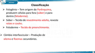  Felogênio – Tem origem do Parênquima,
produzem células para fora (súber) e para
dentro (feloderme).
 Súber – Tecido de revestimento adulto, reveste
raízes e caules.
 Feloderme – Tecido de preenchimento.
 Câmbio interfascicular – Produção de
xilema e floemas secundários.
29
Classificação
 