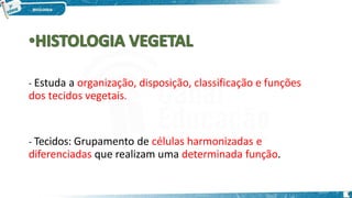 - Estuda a organização, disposição, classificação e funções
dos tecidos vegetais.
3
- Tecidos: Grupamento de células harmonizadas e
diferenciadas que realizam uma determinada função.
 