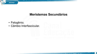 Meristemas Secundários
• Felogênio;
• Câmbio Interfascicular.
 