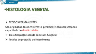  TECIDOS PERMANENTES
São originados dos meristemas e geralmente não apresentam a
capacidade de divisão celular.
 Classificação(de acordo com suas funções)
 Tecidos de proteção ou revestimento
34
 