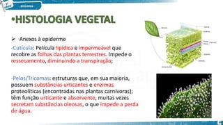  Anexos à epiderme
-Cutícula: Película lipídica e impermeável que
recobre as folhas das plantas terrestres. Impede o
ressecamento, diminuindo a transpiração;
-Pelos/Tricomas: estruturas que, em sua maioria,
possuem substâncias urticantes e enzimas
proteolíticas (encontradas nas plantas carnívoras);
têm função urticante e absorvente, muitas vezes
secretam substâncias oleosas, o que impede a perda
de água.
39
 