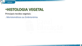 Principais tecidos vegetais:
. Meristemáticos ou Embrionários
4
 
