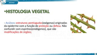 - Acúleos: estruturas pontiagudas(exógenas) originadas
da epiderme com a função de proteção ou defesa. Não
confundir com espinhos(endógenos), que são
modificações de órgãos;
42
 