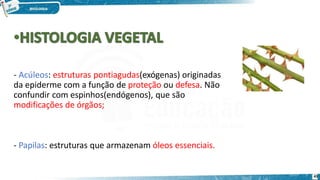 - Acúleos: estruturas pontiagudas(exógenas) originadas
da epiderme com a função de proteção ou defesa. Não
confundir com espinhos(endógenos), que são
modificações de órgãos;
- Papilas: estruturas que armazenam óleos essenciais.
43
 