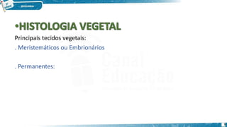 Principais tecidos vegetais:
. Meristemáticos ou Embrionários
. Permanentes:
5
 