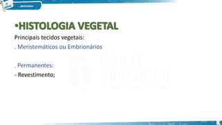 Principais tecidos vegetais:
. Meristemáticos ou Embrionários
. Permanentes:
- Revestimento;
6
 
