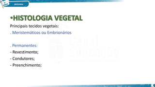 Principais tecidos vegetais:
. Meristemáticos ou Embrionários
. Permanentes:
- Revestimento;
- Condutores;
- Preenchimento;
8
 