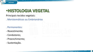 Principais tecidos vegetais:
. Meristemáticos ou Embrionários
. Permanentes:
- Revestimento;
- Condutores;
- Preenchimento;
- Sustentação.
9
 