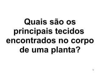Quais são os principais tecidos  encontrados no corpo de uma planta? 1 