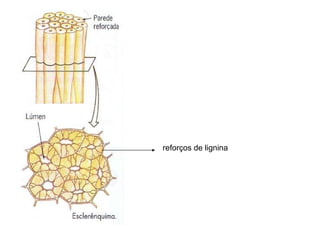 reforços de lignina 