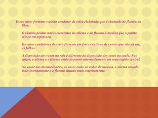 Esses vasos formam o tecido condutor da seiva elaborada que é chamado de floema ou
líber.
O câmbio produz novos elementos do xilema e do floema à medida que a planta
cresce em espessura.
Os vasos condutores de seiva formam um feixe contínuo de canais que vão da raiz
às folhas.
A disposição dos vasos na raiz é diferente da disposição dos vasos no caule. Nas
raízes, o xilema e o floema estão dispostos alternadamente em uma região central.
No caule das dicotiledôneas, os vasos estão ao redor da medula, o xilema situado
mais internamente e o floema situado mais externamente.
 