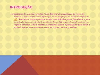 INTRODUÇÃO
A organização do corpo dos vegetais é bem diferente da organização do corpo dos
animais. A maior parte dessas diferenças é uma adaptação ao modo autotrófico de
vida. Somente os vegetais possuem tecidos especializados para a fotossíntese e para
a condução da seiva retirada do ambiente. Essas diferenças são ainda maiores nos
vegetais terrestres. Nessas plantas encontramos tecidos especializados para evitar a
perda de água e para sustentar o corpo do vegetal contra a gravidade.
 