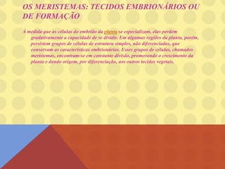 OS MERISTEMAS: TECIDOS EMBRIONÁRIOS OU
DE FORMAÇÃO
À medida que as células do embrião da planta se especializam, elas perdem
gradativamente a capacidade de se dividir. Em algumas regiões da planta, porém,
persistem grupos de células de estrutura simples, não diferenciadas, que
conservam as características embrionárias. Esses grupos de células, chamados
meristemas, encontram-se em constante divisão, promovendo o crescimento da
planta e dando origem, por diferenciação, aos outros tecidos vegetais.
 
