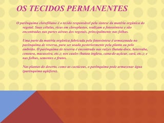 OS TECIDOS PERMANENTES
O parênquima clorofiliano é o tecido responsável pela síntese da matéria orgânica do
vegetal. Suas células, ricas em cloroplastos, realizam a fotossíntese e são
encontradas nas partes aéreas dos vegetais, principalmente nas folhas.
Uma parte da matéria orgânica fabricada pela fotossíntese é armazenada no
parênquima de reserva, para ser usada posteriormente pela planta ou pelo
embrião. O parênquima de reserva é encontrado nas raízes (batata-doce, beterraba,
cenoura, macaxeira, etc.); nos caules (batata inglesa, cana-de-açúcar, cará, etc.); e
nas folhas, sementes e frutos.
Nas plantas do deserto, como as cactáceas, o parênquima pode armazenar água
(parênquima aqüífero).
 