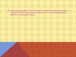 Em certas plantas aquáticas como a vitória-régia e o aguapé, as células desse tecido se
arrumam de modo a formar grandes lacunas onde o ar se acumula, facilitando a
flutuação, é o parênquima aerífero.
 