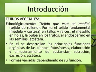 Introducción
TEJIDOS VEGETALES:
Etimológicamente: “tejido que está en medio”
(tejido de relleno). Forma el tejido fundamental
(médula y corteza) en tallos y raíces, el mesófilo
en hojas, la pulpa en los frutos, el endospermo en
las semillas, etcétera.
• En él se desarrollan las principales funciones
orgánicas de las plantas: fotosíntesis, elaboración
y almacenamiento de sustancias, secreción,
excreción, etcétera.
• Formas variadas dependiendo de su función.
 