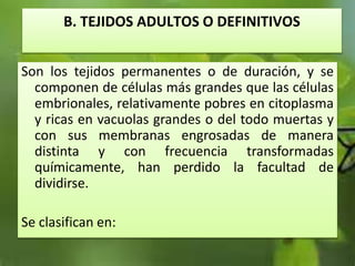 B. TEJIDOS ADULTOS O DEFINITIVOS
Son los tejidos permanentes o de duración, y se
componen de células más grandes que las células
embrionales, relativamente pobres en citoplasma
y ricas en vacuolas grandes o del todo muertas y
con sus membranas engrosadas de manera
distinta y con frecuencia transformadas
químicamente, han perdido la facultad de
dividirse.
Se clasifican en:
 