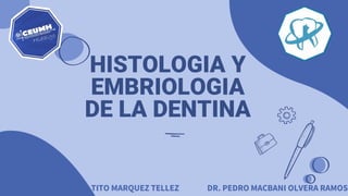 HISTOLOGIA Y
EMBRIOLOGIA
DE LA DENTINA
TITO MARQUEZ TELLEZ DR. PEDRO MACBANI OLVERA RAMOS
 