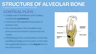 HISTOLOGIC-ARRANGEMENT-OF-MATURE-BONE.pdf