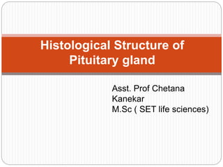 Histological Structure of 
Pituitary gland 
Asst. Prof Chetana 
Kanekar 
M.Sc ( SET life sciences) 
 
