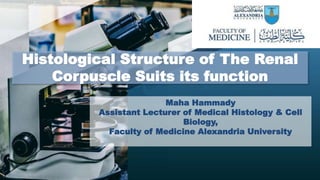 Histological Structure of The Renal
Corpuscle Suits its function
Maha Hammady
Assistant Lecturer of Medical Histology & Cell
Biology,
Faculty of Medicine Alexandria University
 