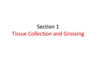 Section 1
Tissue Collection and Grossing
 