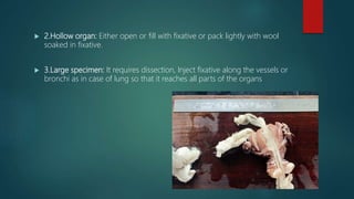  2.Hollow organ: Either open or fill with fixative or pack lightly with wool
soaked in fixative.
 3.Large specimen: It requires dissection, Inject fixative along the vessels or
bronchi as in case of lung so that it reaches all parts of the organs
 