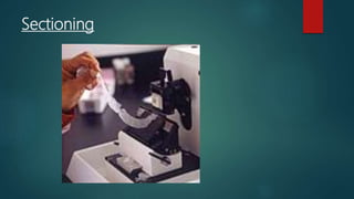 Sectioning
 