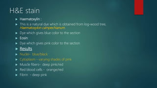 H&E stain
 Haematoxylin :
 This is a natural dye which is obtained from log-wood tree,
Haematoxylon campechianum.
 Dye which gives blue color to the section
 Eosin:
 Dye which gives pink color to the section
 Results
 Nuclei- blue/black
 Cytoplasm - varying shades of pink
 Muscle fibers- deep pink/red
 Red blood cells - orange/red
 Fibrin - deep pink
 