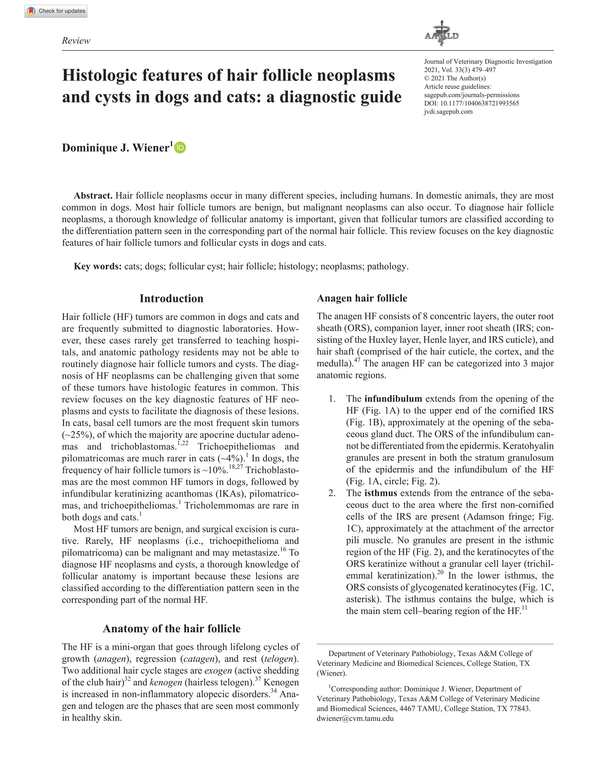 Histologic features of hair follicle neoplasms and cysts in dogs and