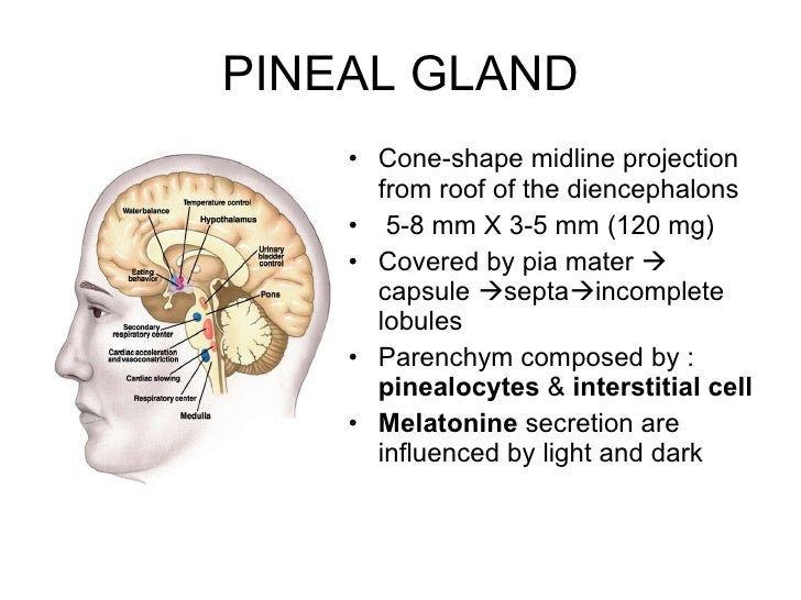 Histologic structure of endocrine system